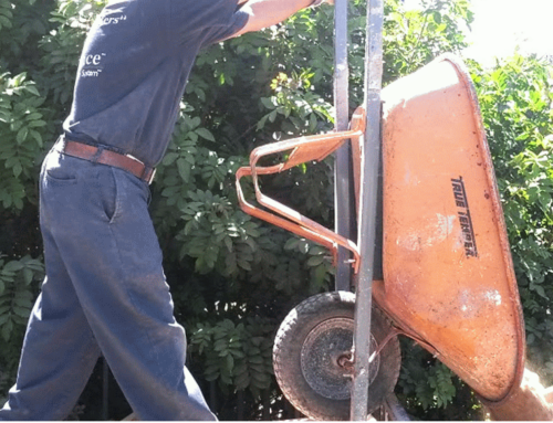 Dirt Removal